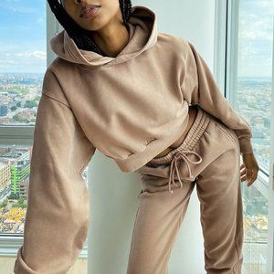 Aritzia perfect shrunken hoodie